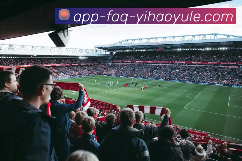 壹号娱乐APP服务体系